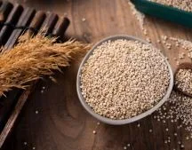 Kiwicha is Similar to quinoa