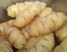 oca could be eaten fresh or cooked in soups and stews