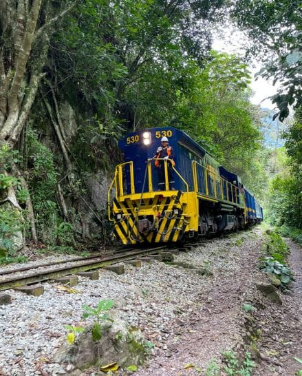 Train to Machu Picchu
