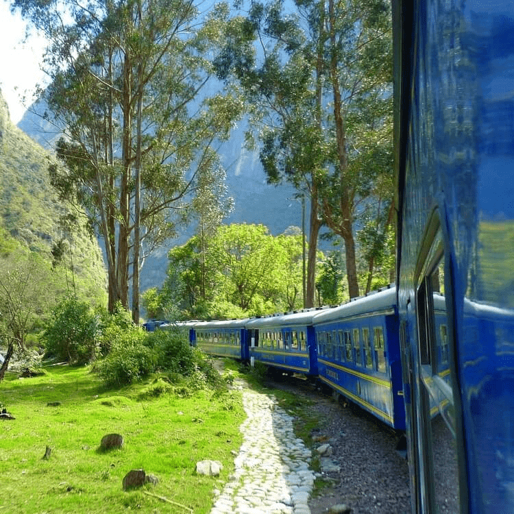 A picture of a train passing by Machu Picchu