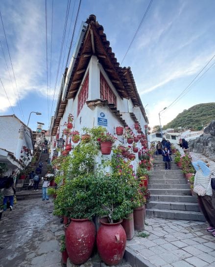 Calle Borreguitos