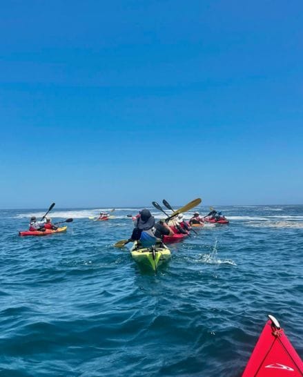 Kayak in Paracas Peru Kayak in Paracas Peru