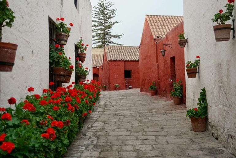 cusco vs arequipa: Santa Catalina Monastery