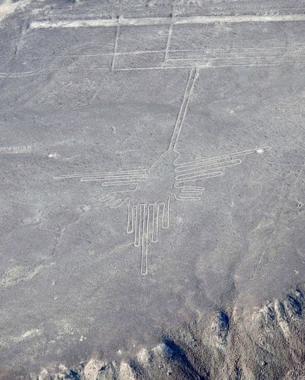 The Animal Geoglyphs Of The Nazca Lines