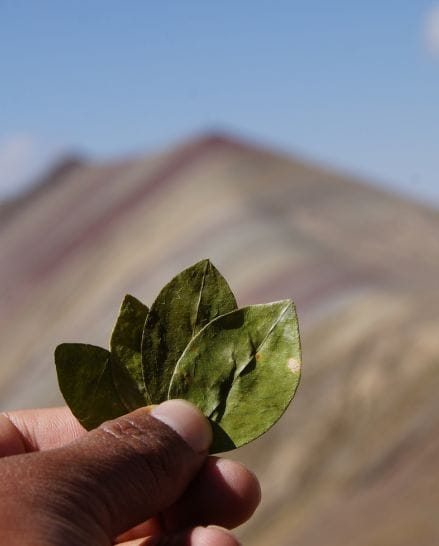 Pachamama Day Apus