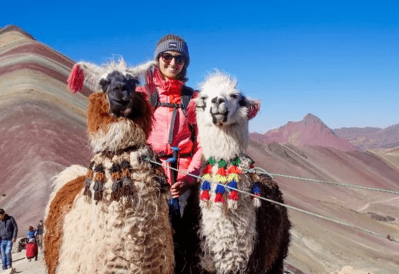 A person holding a pair of lamas in front of the Rainbow Mountain