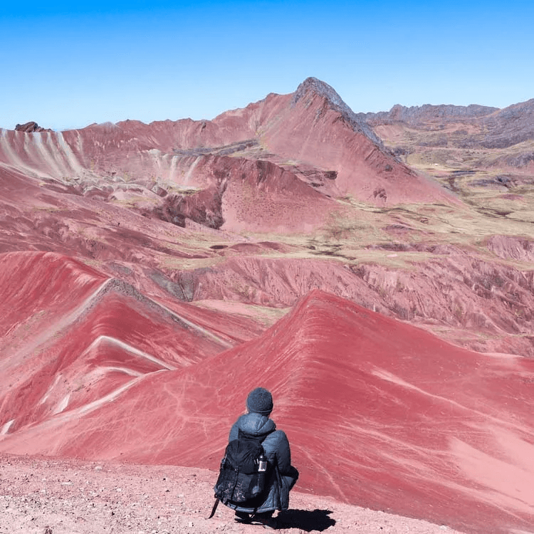 A person looking at a pink mountain range