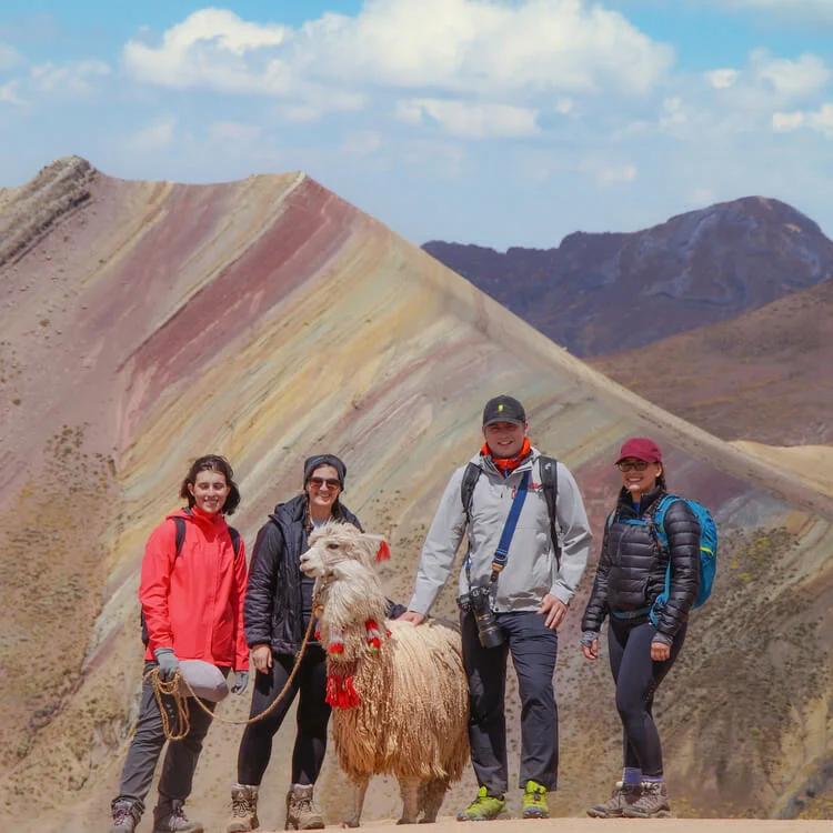a group of people with an alpaca