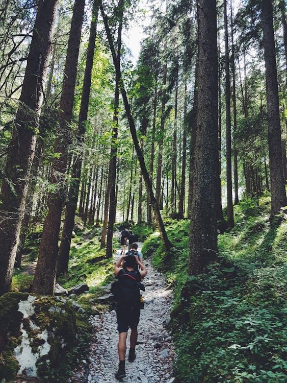 A group of people walking on a trail