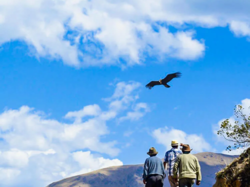 Three hikers walking along a mountain trail in Cusco